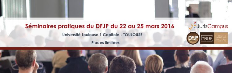 Bannière du séminaire DFJP 2016 à Toulouse - les places sont limitées
